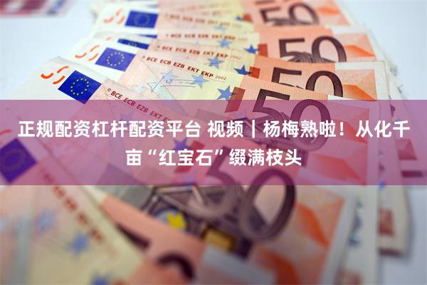 正规配资杠杆配资平台 视频｜杨梅熟啦！从化千亩“红宝石”缀满枝头