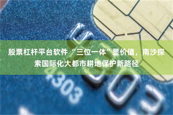股票杠杆平台软件 “三位一体”显价值，南沙探索国际化大都市耕地保护新路径