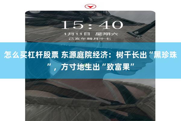 怎么买杠杆股票 东源庭院经济：树干长出“黑珍珠”，方寸地生出“致富果”