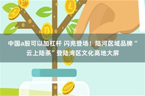 中国a股可以加杠杆 闪亮登场！陆河区域品牌“云上陆茶”登陆湾区文化高地大屏