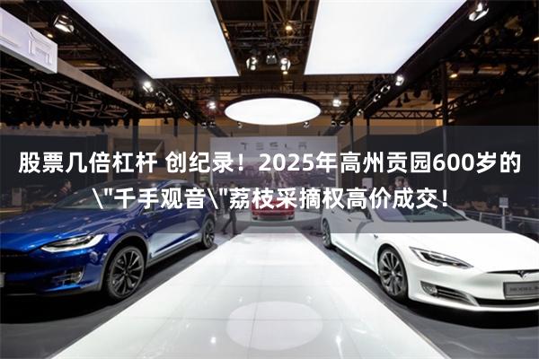 股票几倍杠杆 创纪录！2025年高州贡园600岁的＂千手观音＂荔枝采摘权高价成交！