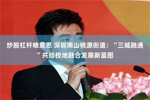 炒股杠杆啥意思 深圳南山桃源街道：“三城融通”共绘校地融合发展新蓝图