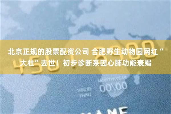 北京正规的股票配资公司 合肥野生动物园网红“大壮”去世！初步诊断系因心肺功能衰竭
