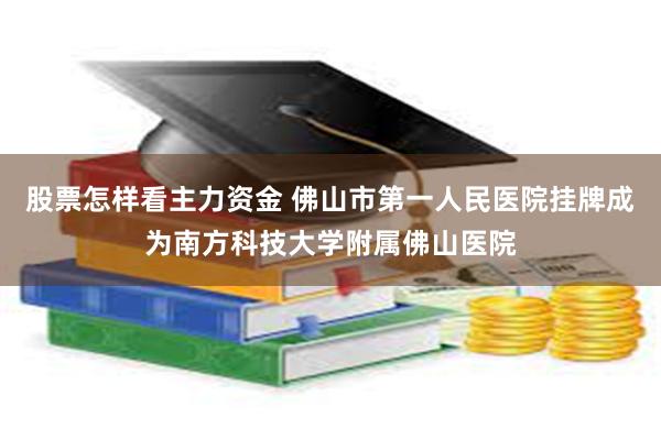 股票怎样看主力资金 佛山市第一人民医院挂牌成为南方科技大学附属佛山医院