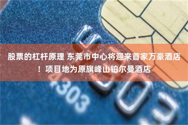 股票的杠杆原理 东莞市中心将迎来首家万豪酒店！项目地为原旗峰山铂尔曼酒店