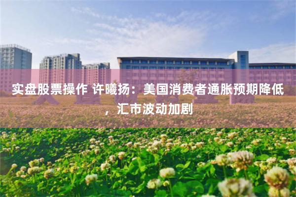实盘股票操作 许曦扬：美国消费者通胀预期降低，汇市波动加剧