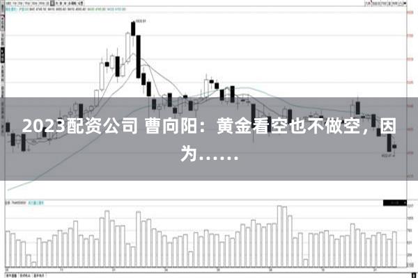 2023配资公司 曹向阳：黄金看空也不做空，因为……