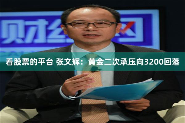 看股票的平台 张文辉：黄金二次承压向3200回落