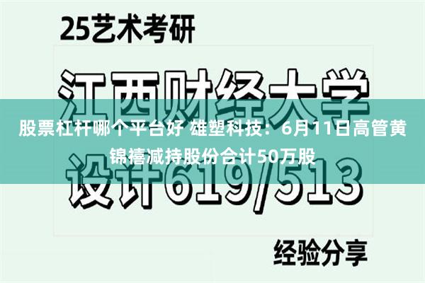 股票杠杆哪个平台好 雄塑科技：6月11日高管黄锦禧减持股份合计50万股
