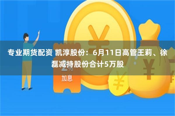 专业期货配资 凯淳股份：6月11日高管王莉、徐磊减持股份合计5万股