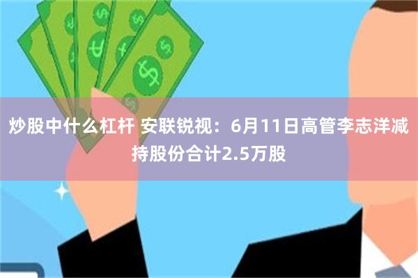炒股中什么杠杆 安联锐视：6月11日高管李志洋减持股份合计2.5万股