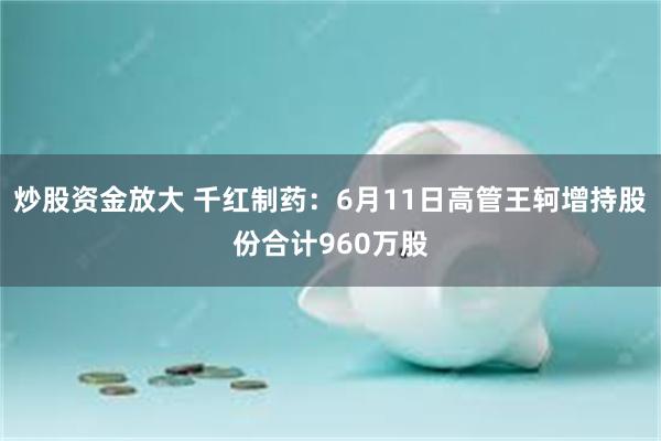 炒股资金放大 千红制药：6月11日高管王轲增持股份合计960万股