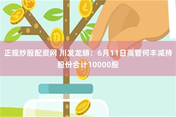 正规炒股配资网 川发龙蟒：6月11日高管何丰减持股份合计10000股
