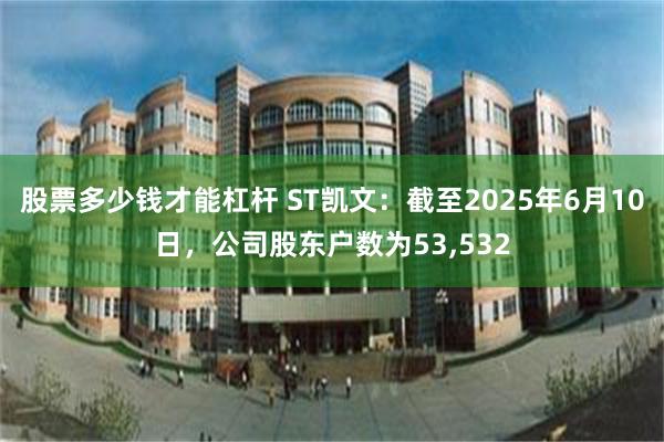 股票多少钱才能杠杆 ST凯文：截至2025年6月10日，公司股东户数为53,532