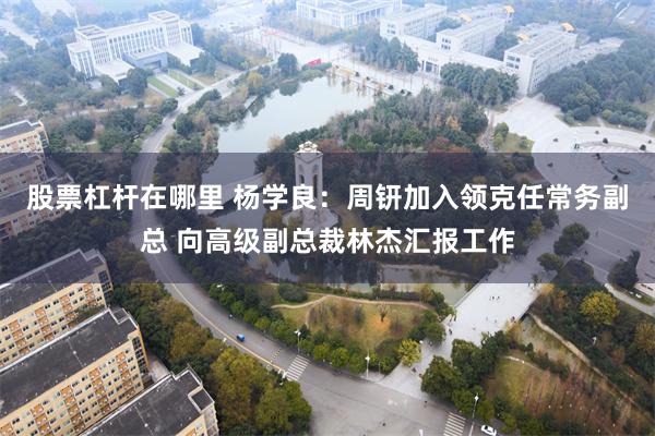 股票杠杆在哪里 杨学良：周钘加入领克任常务副总 向高级副总裁林杰汇报工作