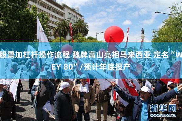 股票加杠杆操作流程 魏牌高山亮相马来西亚 定名“WEY 80”/预计年底投产