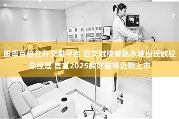 股票百倍杠杆交易平台 吕文斌接替赵永坡出任欧拉总经理 官宣2025款好猫将近期上市