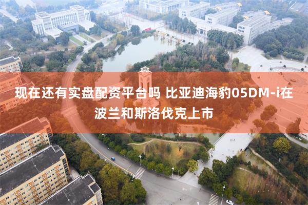 现在还有实盘配资平台吗 比亚迪海豹05DM-i在波兰和斯洛伐克上市
