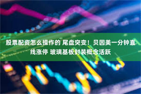 股票配资怎么操作的 尾盘突变！贝因美一分钟直线涨停 玻璃基板封装概念活跃