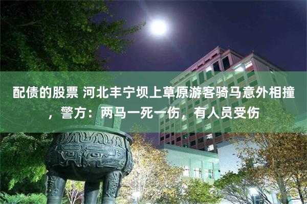 配债的股票 河北丰宁坝上草原游客骑马意外相撞，警方：两马一死一伤，有人员受伤