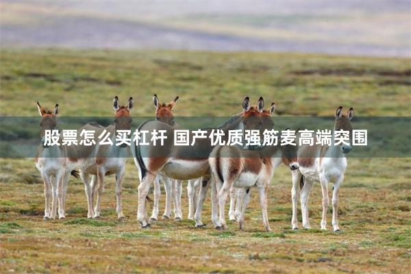 股票怎么买杠杆 国产优质强筋麦高端突围