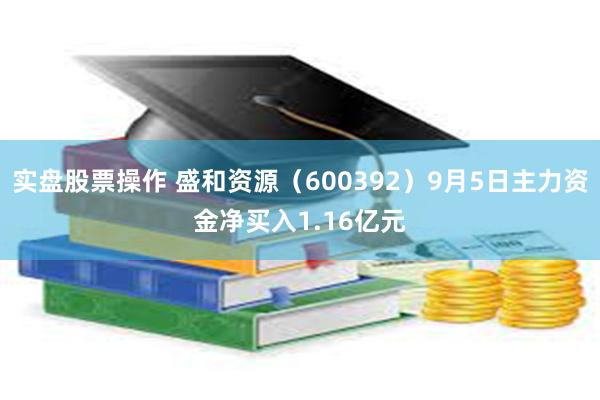 实盘股票操作 盛和资源（600392）9月5日主力资金净买入1.16亿元