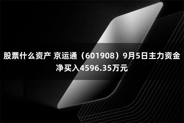 股票什么资产 京运通（601908）9月5日主力资金净买入4596.35万元