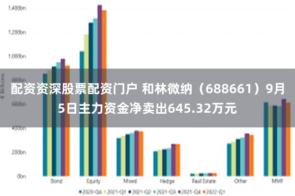 配资资深股票配资门户 和林微纳（688661）9月5日主力资金净卖出645.32万元