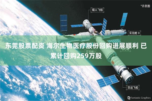 东莞股票配资 海尔生物医疗股份回购进展顺利 已累计回购259万股