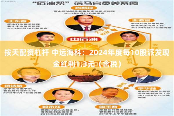 按天配资杠杆 中远海科：2024年度每10股派发现金红利1.3元（含税）