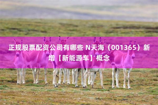 正规股票配资公司有哪些 N天海(001365)新增【新能源车】概念