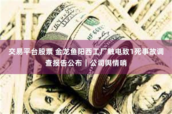 交易平台股票 金龙鱼阳西工厂触电致1死事故调查报告公布｜公司舆情哨