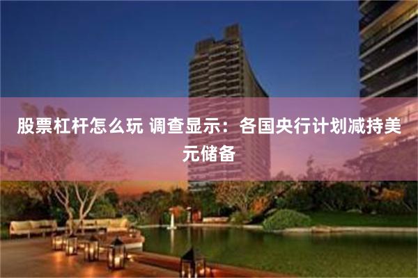 股票杠杆怎么玩 调查显示：各国央行计划减持美元储备