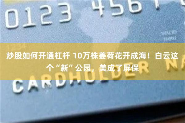 炒股如何开通杠杆 10万株姜荷花开成海!白云这个“新”公园,美成了屏保