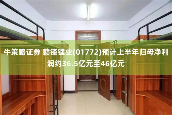 牛策略证券 赣锋锂业(01772)预计上半年归母净利润约36.5亿元至46亿元