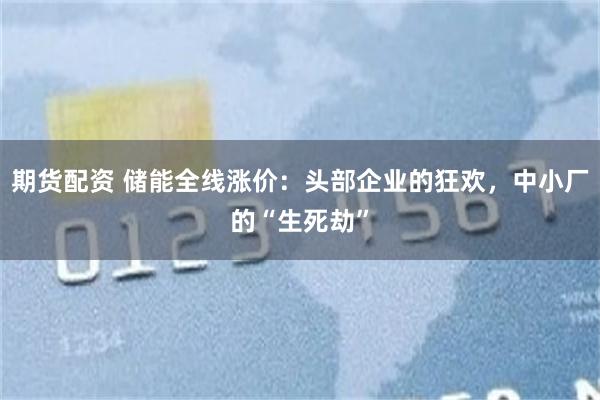 期货配资 储能全线涨价：头部企业的狂欢，中小厂的“生死劫”