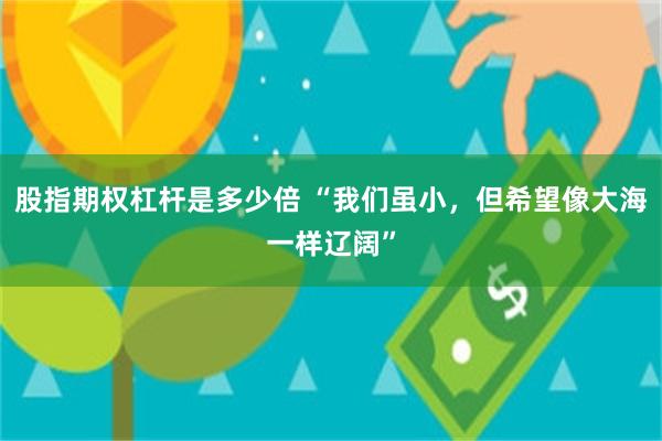 股指期权杠杆是多少倍 “我们虽小，但希望像大海一样辽阔”