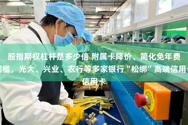 股指期权杠杆是多少倍 附属卡降价、简化免年费门槛，光大、兴业、农行等多家银行“松绑”高端信用卡