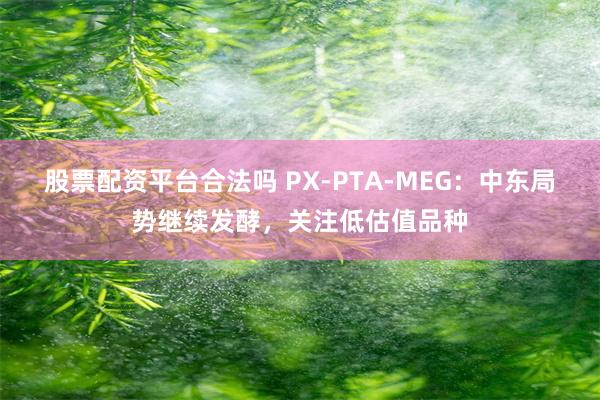 股票配资平台合法吗 PX-PTA-MEG:中东局势继续发酵,关注低估值品种