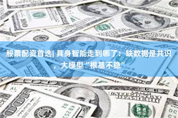 股票配资首选| 具身智能走到哪了：缺数据是共识，大模型“根基不稳”