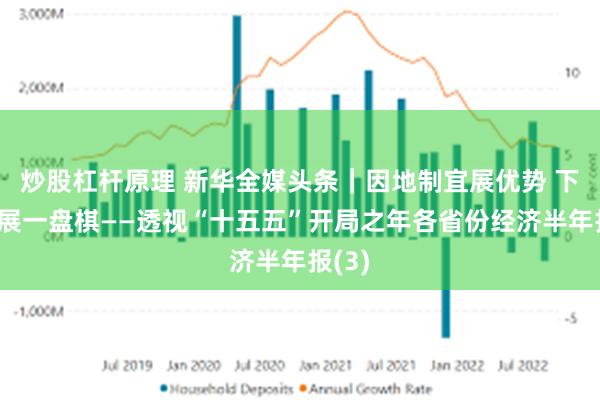 炒股杠杆原理 新华全媒头条｜因地制宜展优势 下好发展一盘棋——透视“十五五”开局之年各省份经济半年报(3)