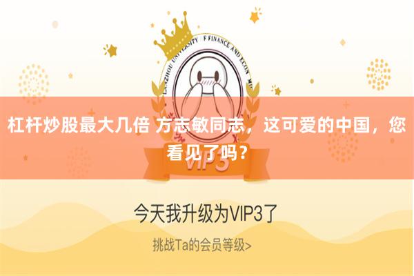 杠杆炒股最大几倍 方志敏同志，这可爱的中国，您看见了吗？