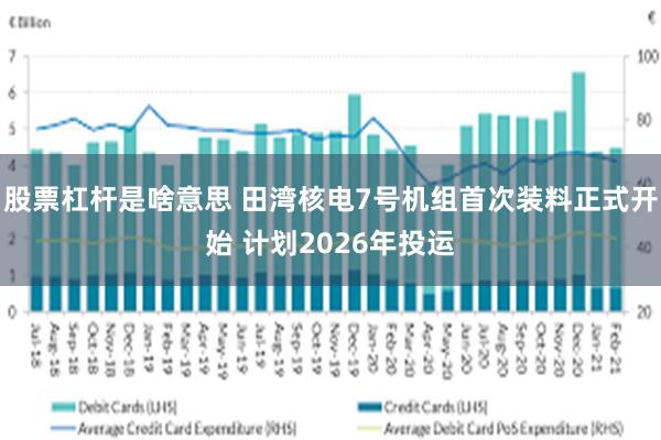 股票杠杆是啥意思 田湾核电7号机组首次装料正式开始 计划2026年投运