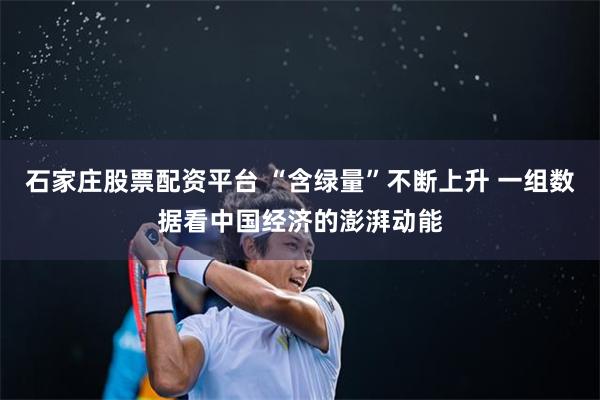 石家庄股票配资平台 “含绿量”不断上升 一组数据看中国经济的澎湃动能