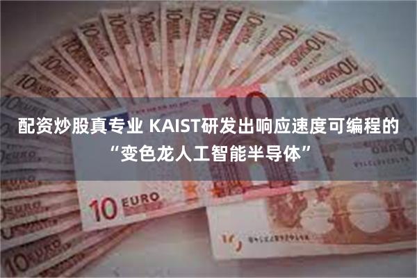 配资炒股真专业 KAIST研发出响应速度可编程的“变色龙人工智能半导体”