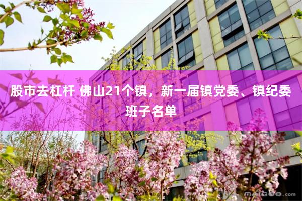 股市去杠杆 佛山21个镇，新一届镇党委、镇纪委班子名单